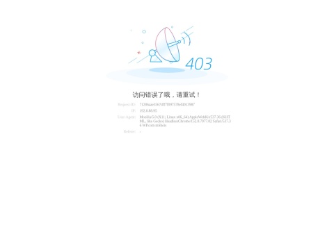 网站预览
