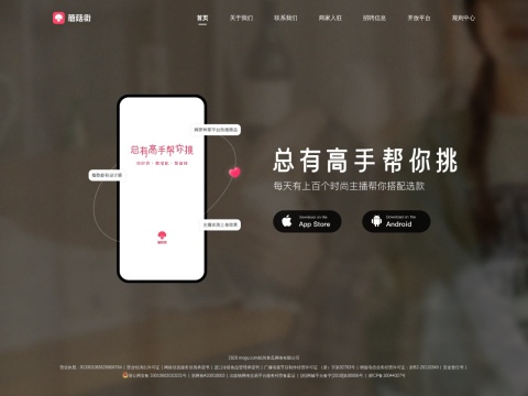 网站预览