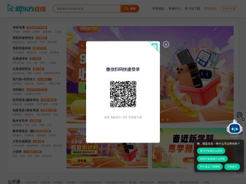 网站预览
