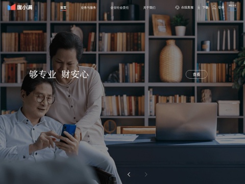 网站预览