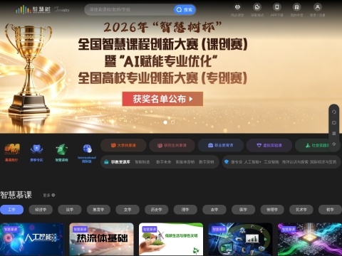 网站预览