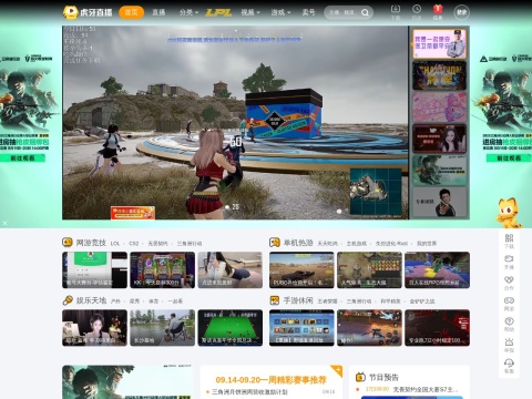 网站预览