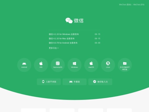 网站预览